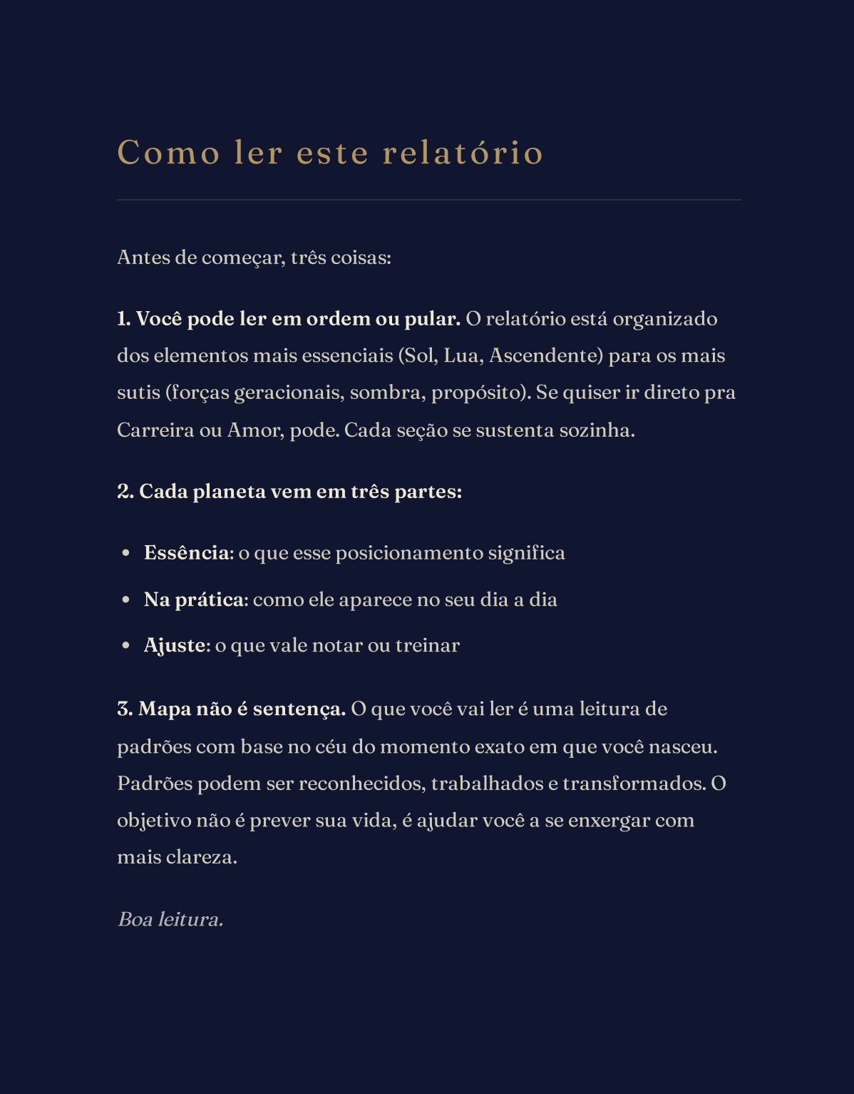 Página de exemplo do relatório Seleune